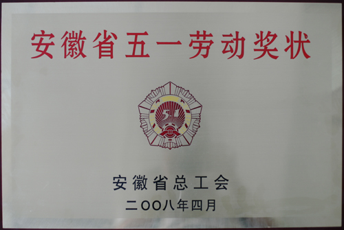 公司获2008年安徽省五一劳动奖状